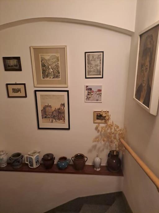 Vila Historica Karlovy Vary Bagian luar foto