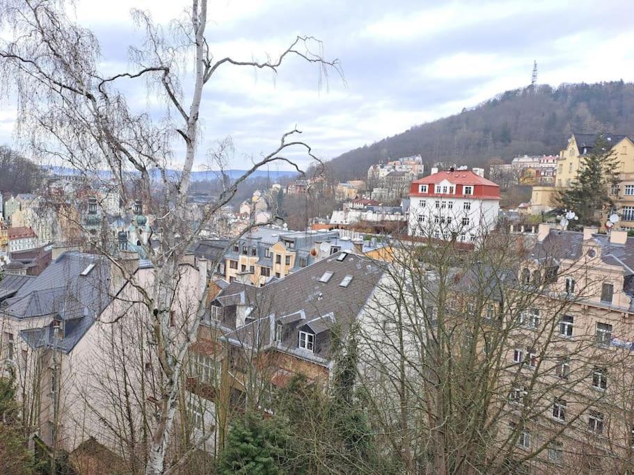Vila Historica Karlovy Vary Bagian luar foto